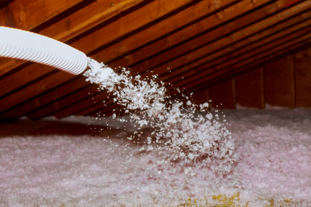 Best Insulation Maintenance and Repair in Forest, MS