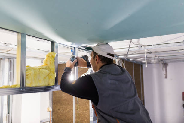 Best Eco-Friendly Insulation in Forest, MS