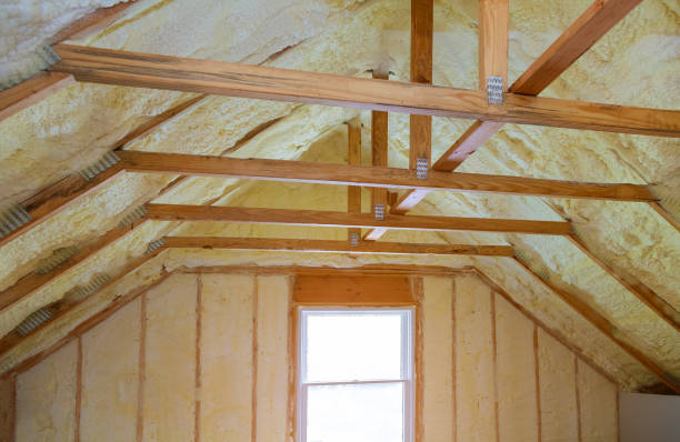 Best Spray Foam Insulation in Forest, MS