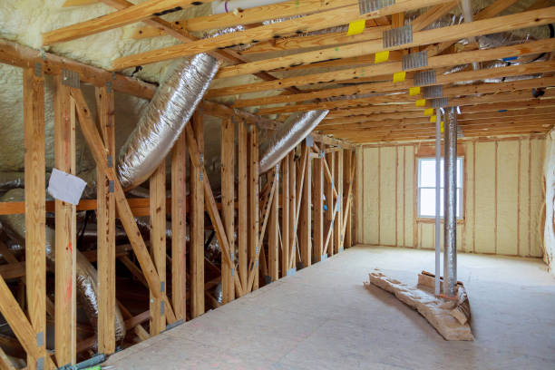 Best Specialized Insulation Services in Forest, MS