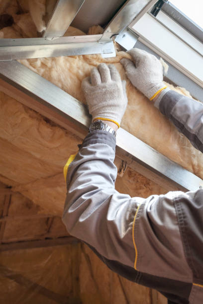 Best Blown-in Insulation in Forest, MS