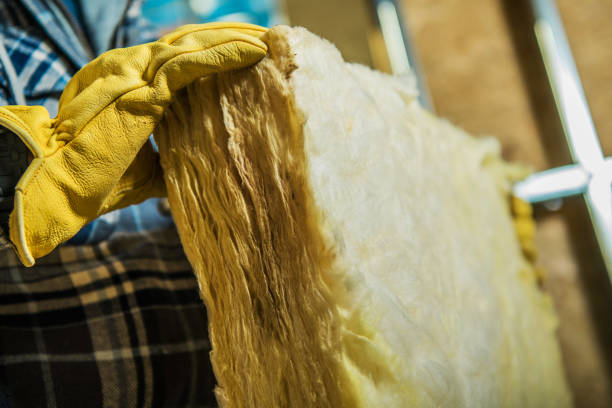 Best Cellulose Insulation in Forest, MS