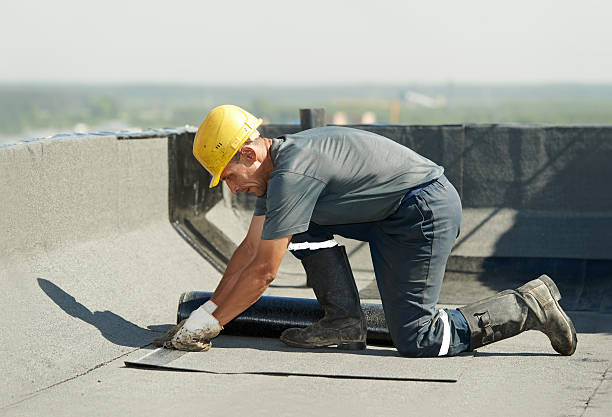 Types of Insulation We Offer in Forest, MS